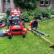 Întreținerea gazonului