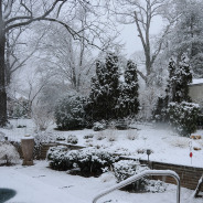 Întreținerea grădinii iarna