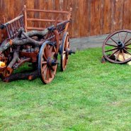 Cum amenajezi o grădină rustică