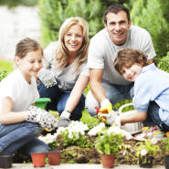 Cum să eviți accidentele în grădinărit