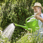 Îngrijirea plantelor în vacanță